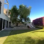 Dream Garden