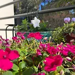 Dream Garden