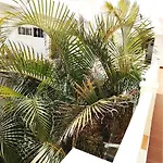 Oasis Marina Apartament