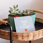 Hygge Apartment In Bouganvillas, Costa Adeje
