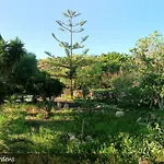 Live Finca San Miguel