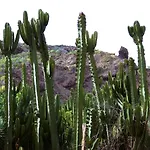 Finca La Punta
