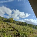 Vane Sauzal