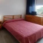 Piso En Aquiler En Tenerife