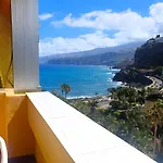 Palmera Del Mar