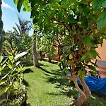 Energy Garden