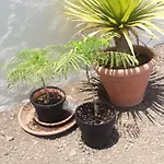 Nueva Casa Rural Piscina Privada