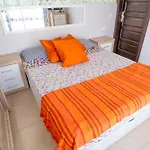 El Mocan De Thiago Palm Mar