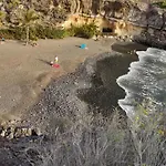 Alícia Paraiso del Sur