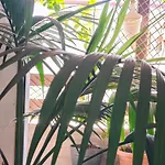 Casa Compartida Weyler