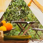 Yurt In Avocado Garden