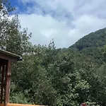 Luz De Vida Anaga
