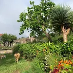 Casa Jardin Finca Maravilla