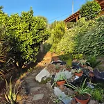 Finca Casa Los Dragos