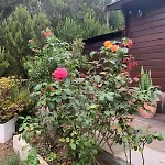 Retiro En La Naturaleza - Desconexion Y Relax