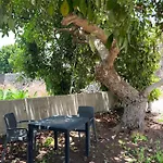 Casa Patio Fincaecoamaro