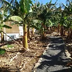 Finca Don Victor