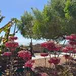 Little Paradise in El Médano