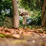 Finca La Chamusca