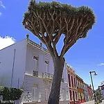 Apartamento La Higuera