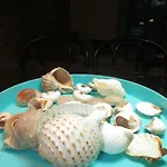 Ocean House & Perfect For You