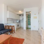 Bahia Suite