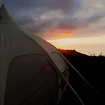 Free Canari - Los Alamos 8
