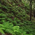 Casa del Cu bano B- Biosphere Reserve