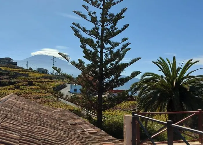 Casa Canarina