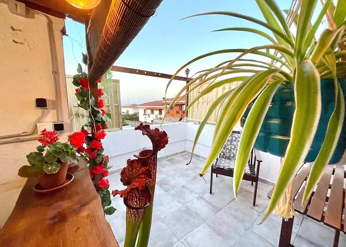 Casa Dionea, Puerto De La Cruz
