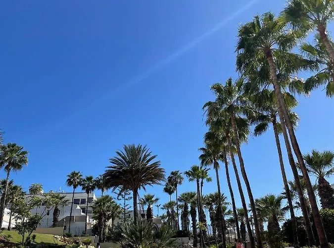 El Dorado Estrella