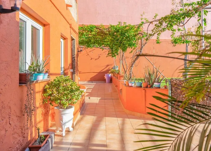Cactus Coliving & Coworking