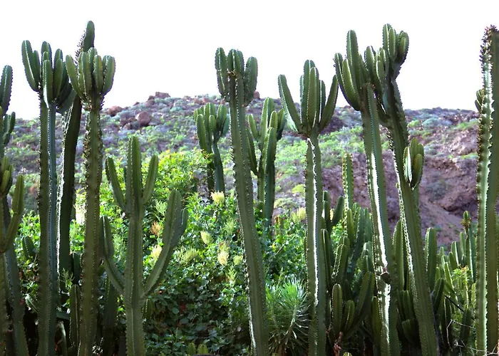 Finca La Punta