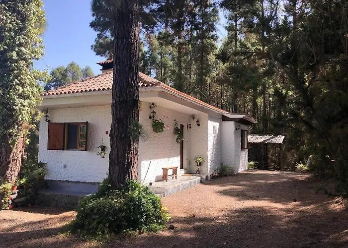 Floral Garden House