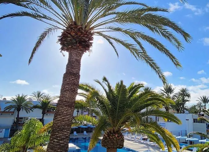 Casa De Mariposas