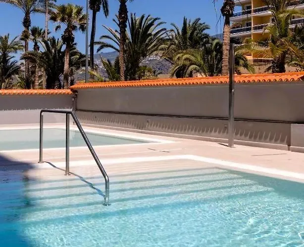 Palmera Del Mar