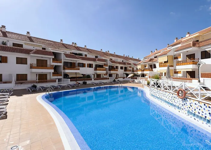 Live Cardon Las Americas Con Piscina Y Terraza