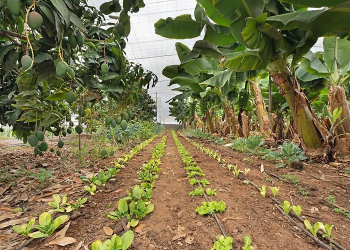 Finca La Calabacera Azul