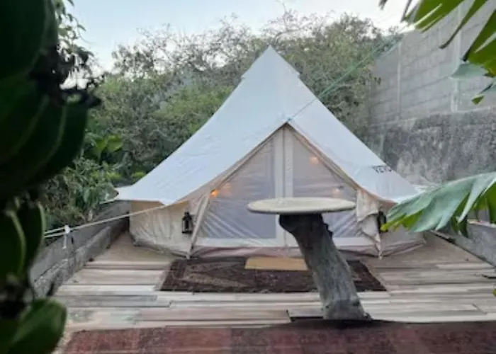 Yurt In Avocado Garden