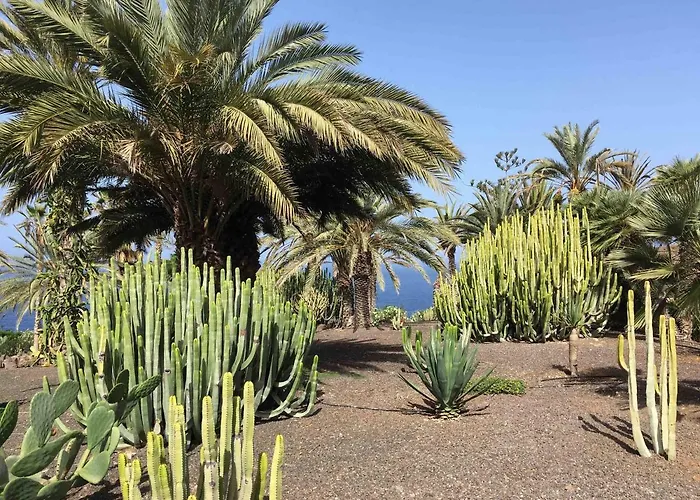 Residence Pierre & Vacances Marazul Del Sur