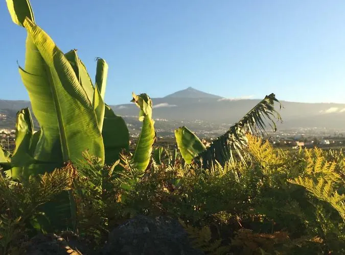 Finca La Plantacion _Agroturismo
