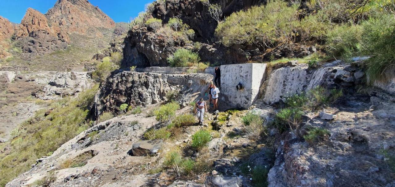 Hostel Adventure House Tenerife Alcala (Tenerife)