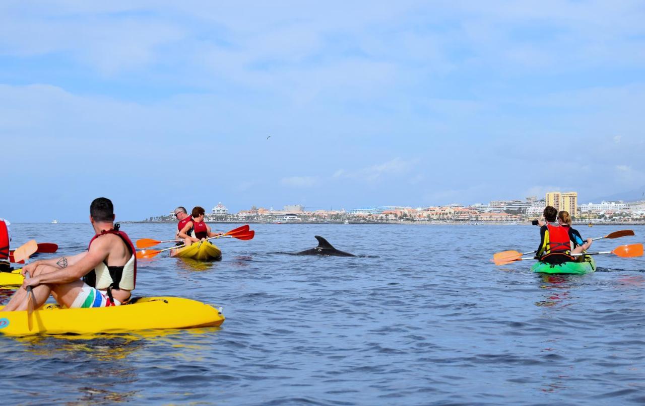 Adventure House Tenerife Hostel