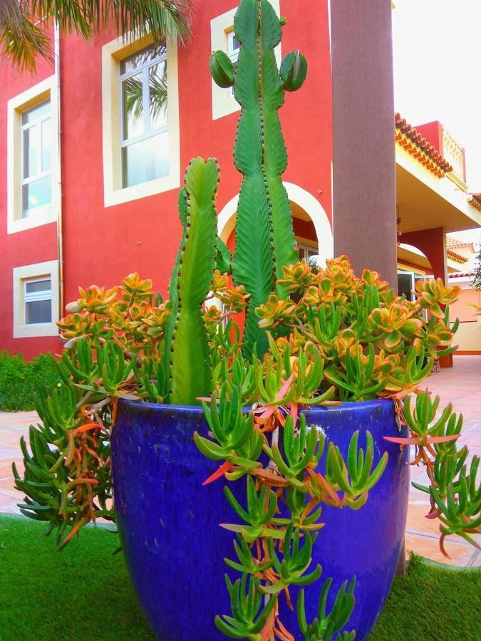 Casa Viera * Buzanada