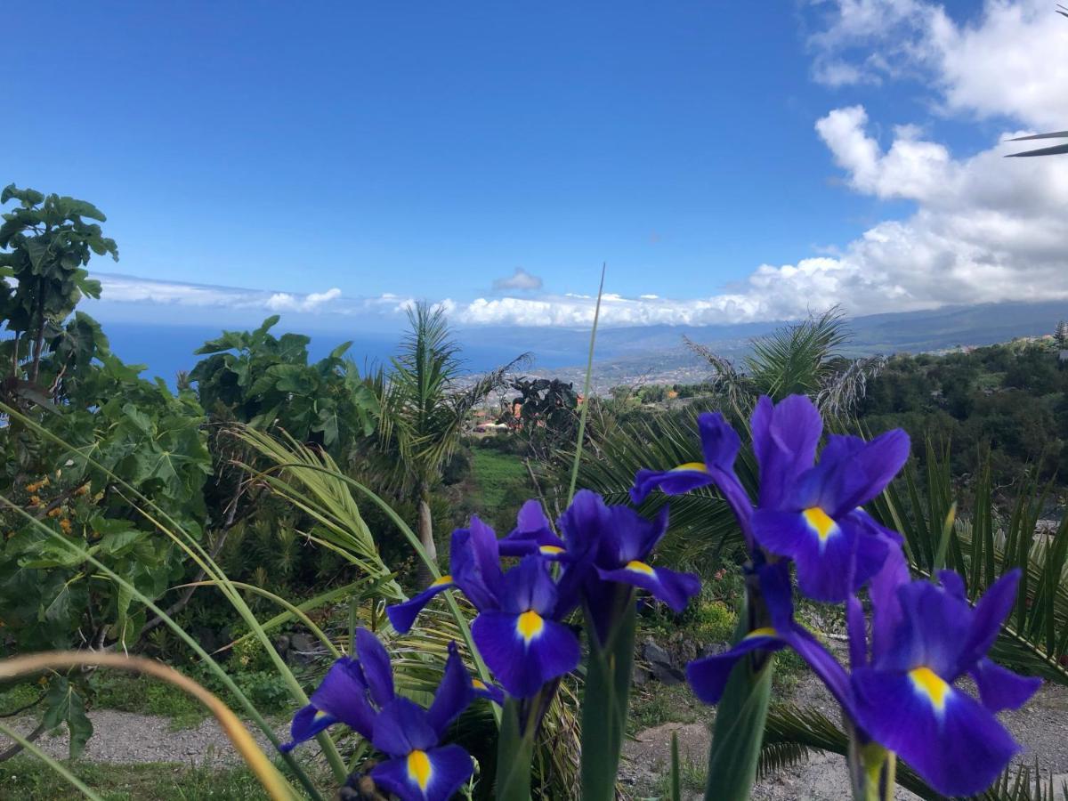 Hébergement de vacances Ecolodge Tenerife Genovés