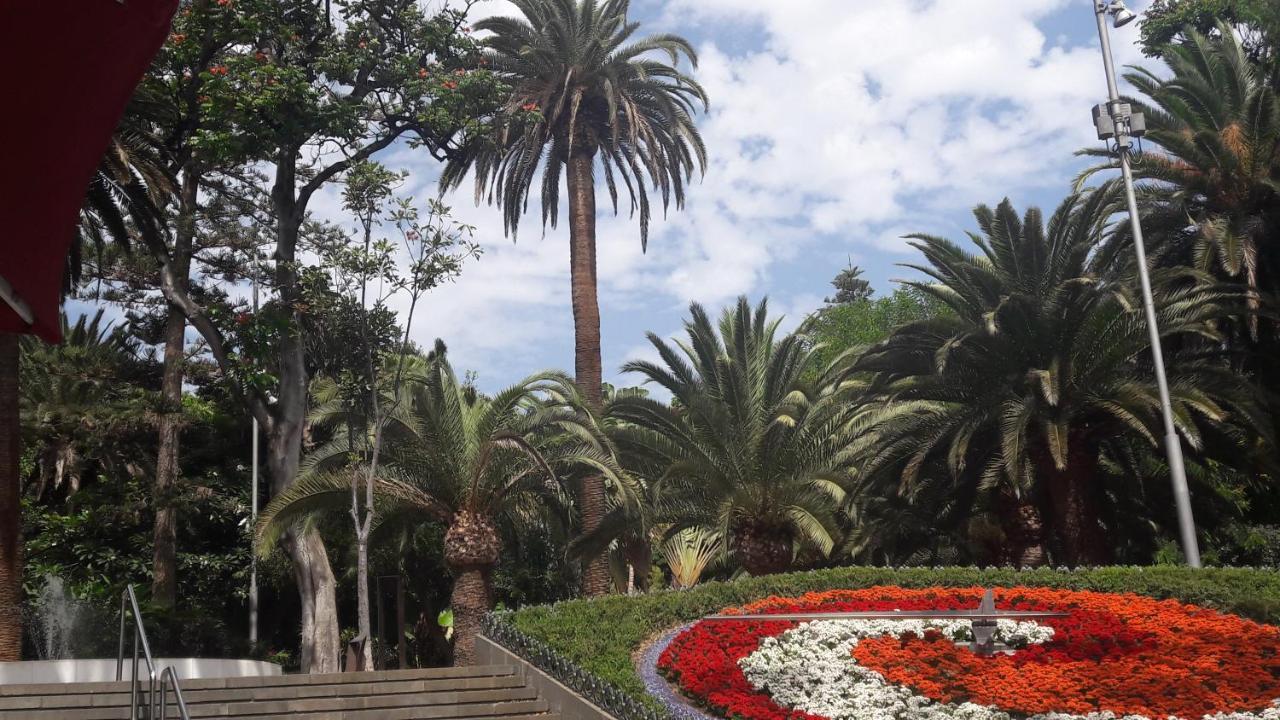 Tenerife S. C. *