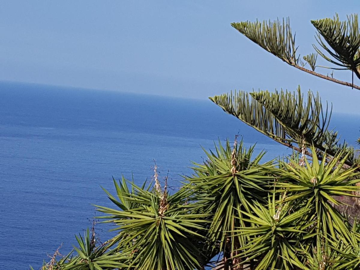 Tenerife S. C. Couette-café