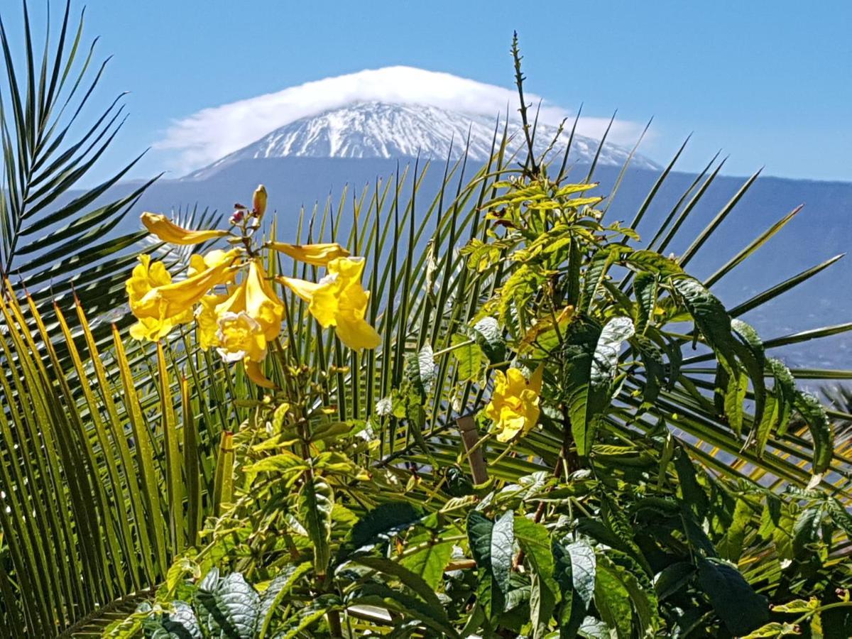 Couette-café Tenerife S. C. *