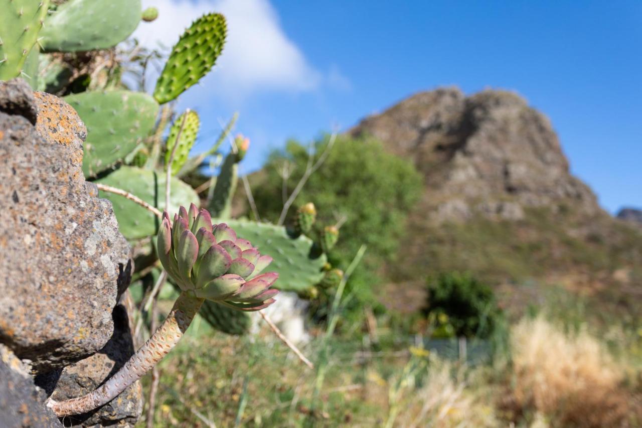Home2book Nature Carrizales&masca House&wifi *