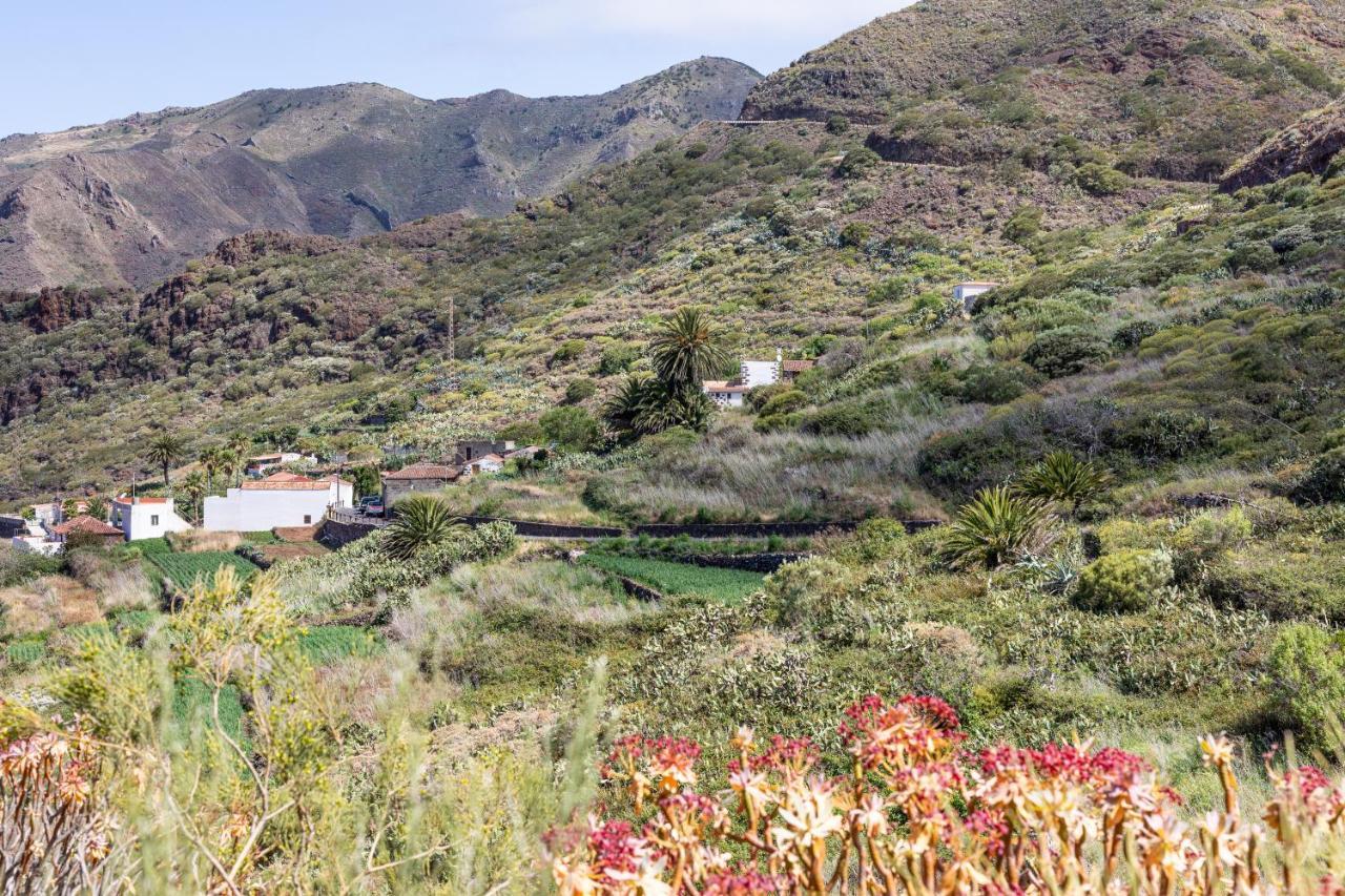Home2book Nature Carrizales&masca House&wifi Chalet Buenavista Del Norte